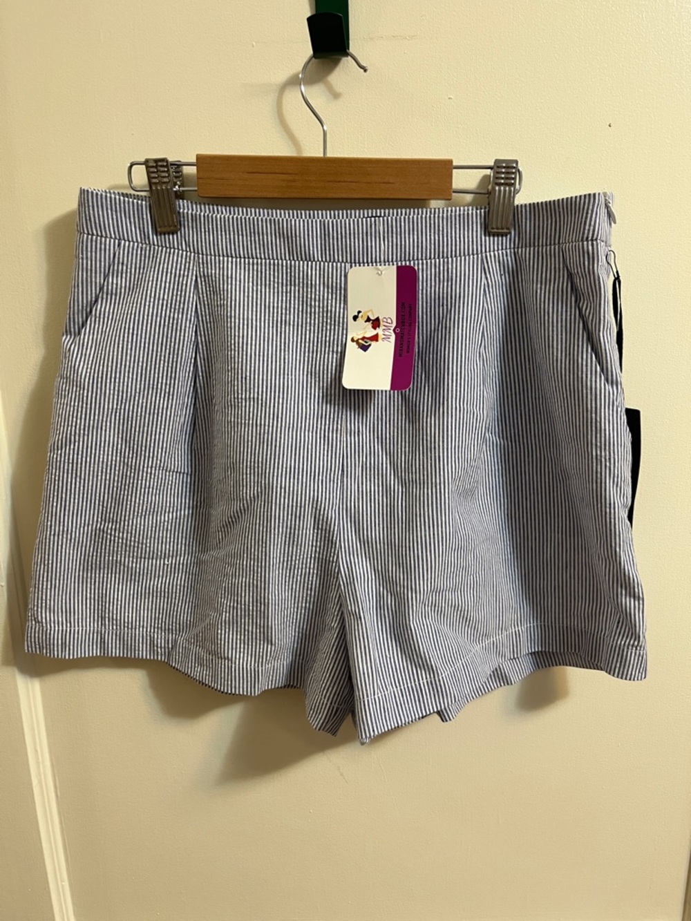 Doe & Rae Blue Striped Women's Shorts
